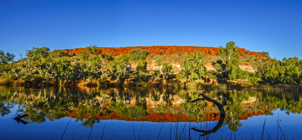 Pilbara-RAW-2015.jpg