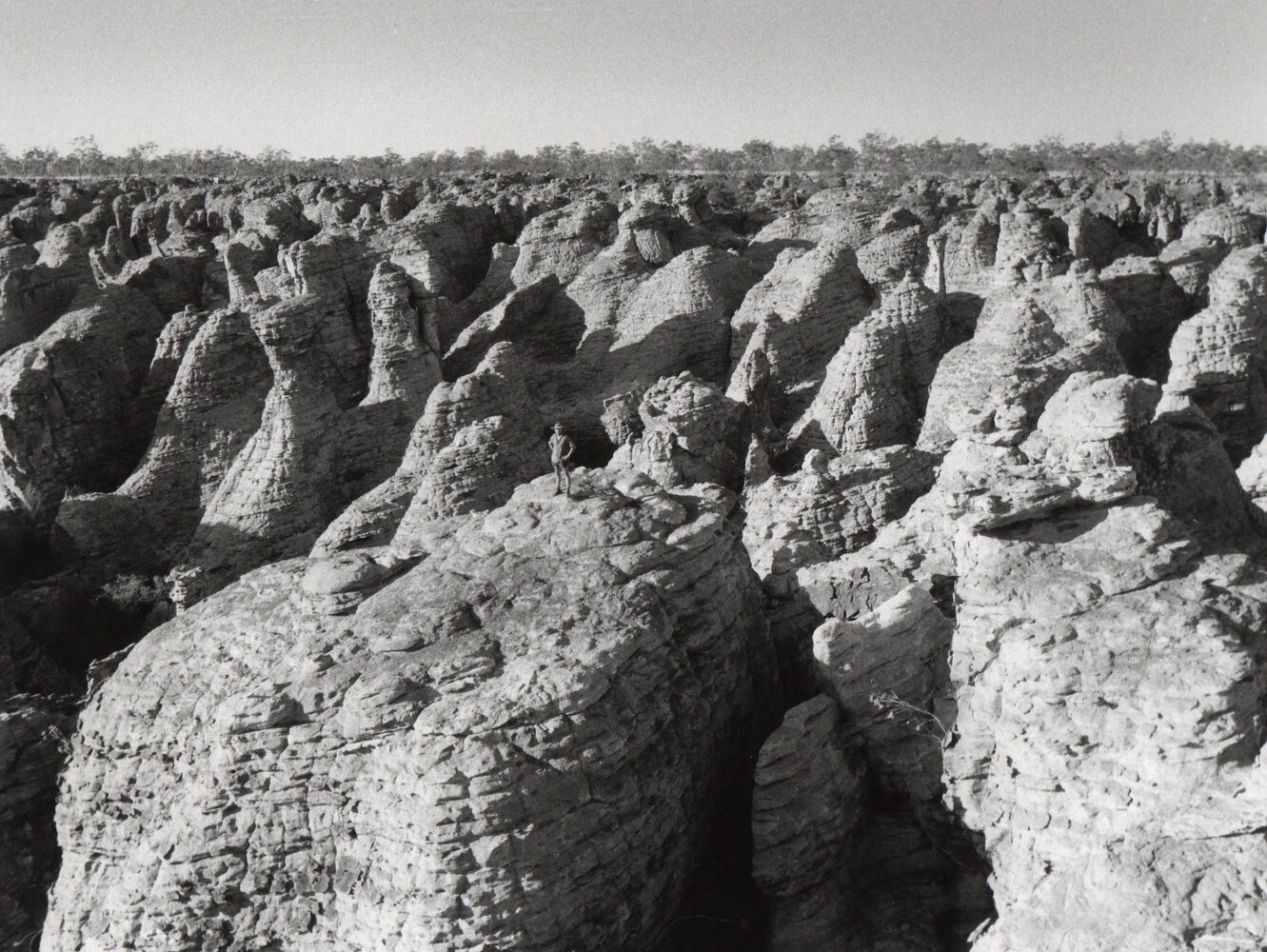 Self atop Ruined City NT.jpg