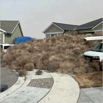 tumbleweed_utah.jpg