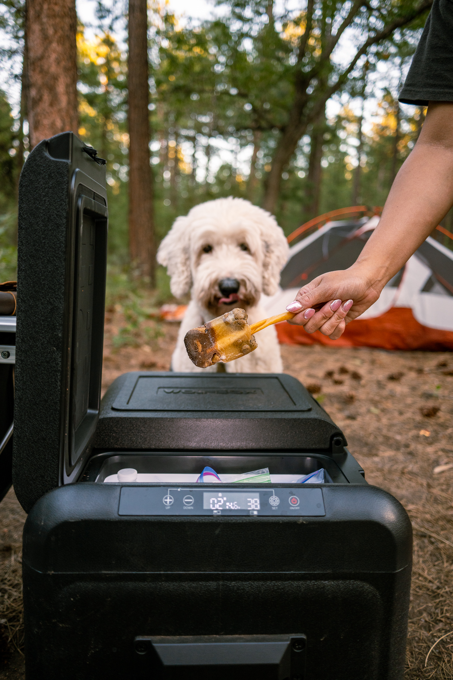 WOLFBOX x TheDesertDudes Car Fridge 10.jpg