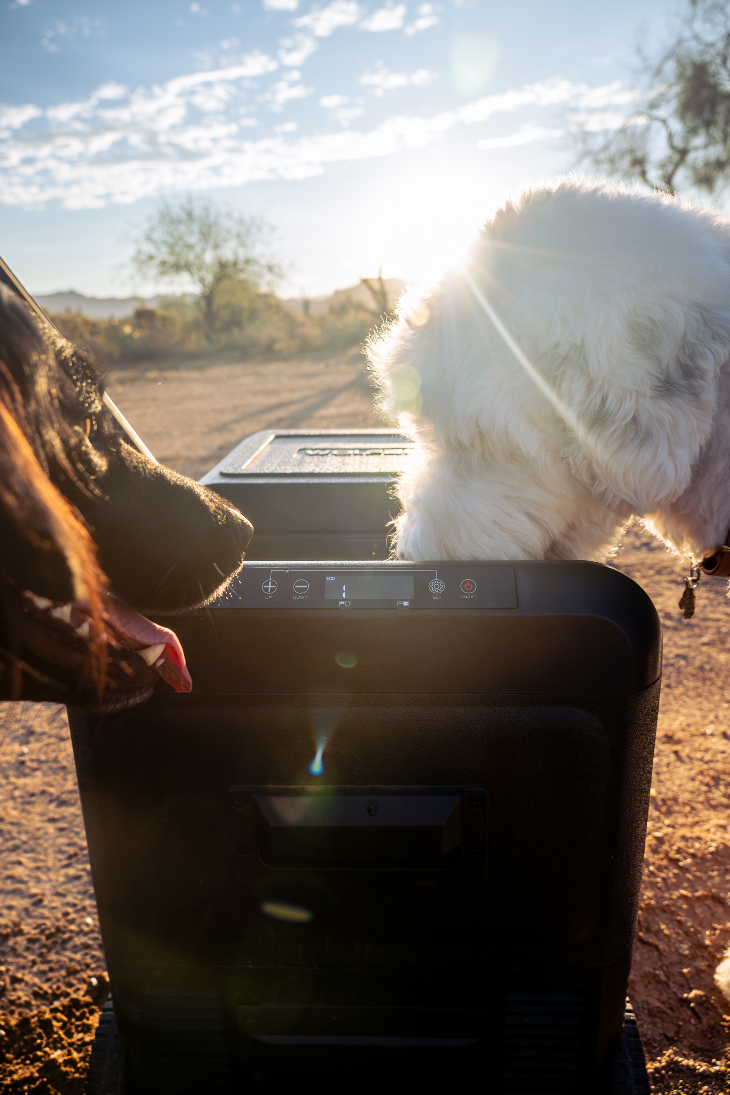 WOLFBOX x TheDesertDudes Car Fridge 5.jpg