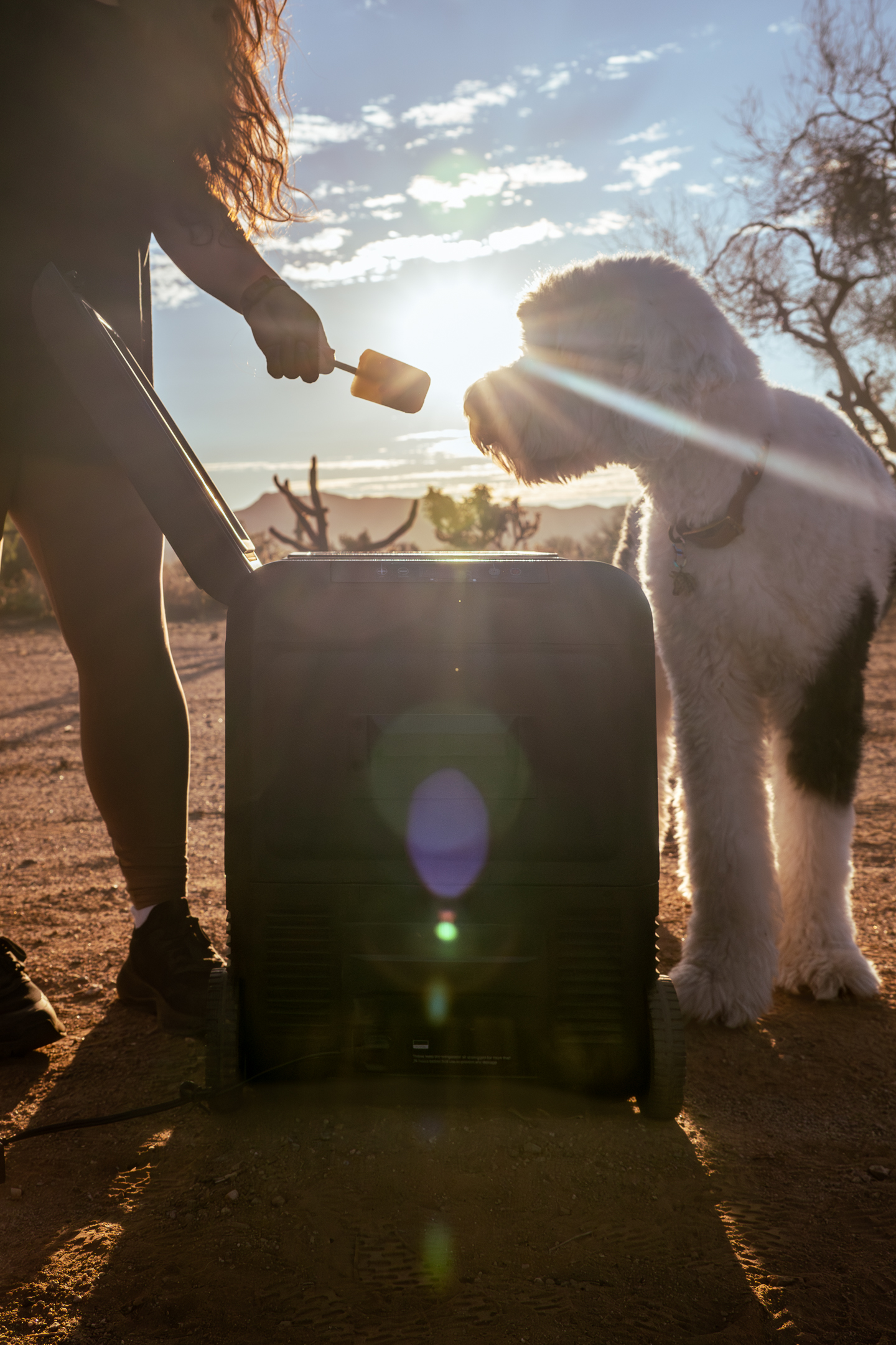 WOLFBOX x TheDesertDudes Car Fridge 6.jpg