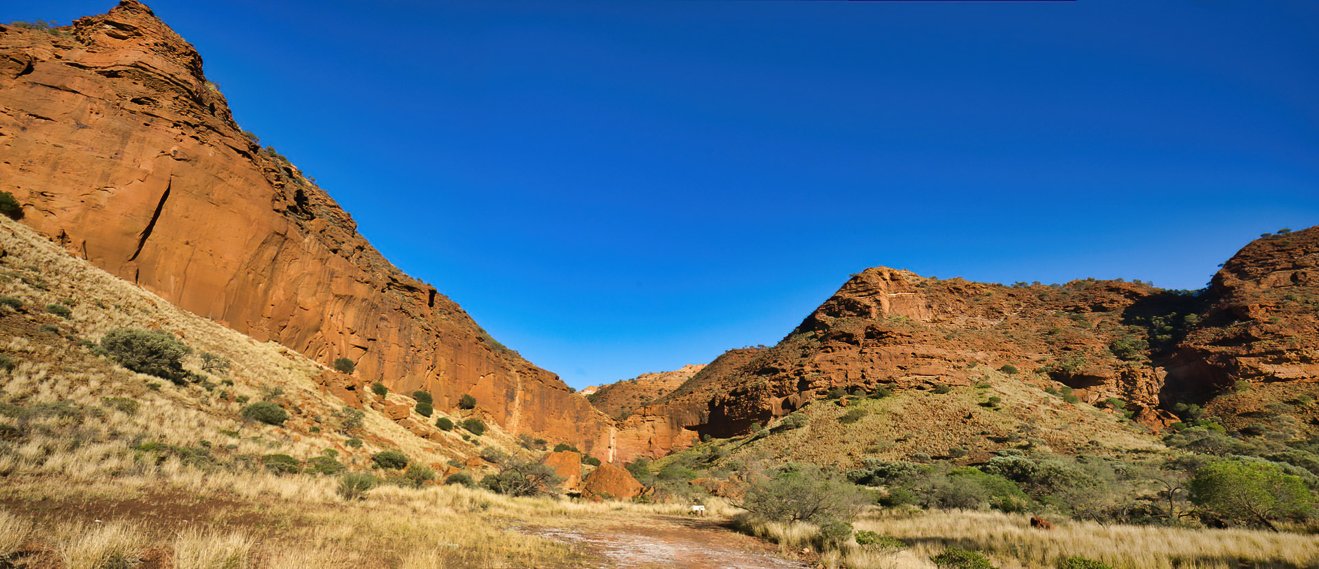 Gascoyne-RAW-2015-0078-Pano-DeNoiseAI-denoise_1.jpeg